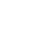 icon _truck